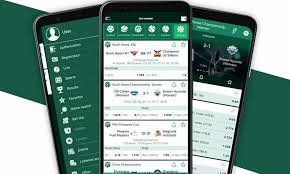 Comprehensive Overview of BetWinner Platform