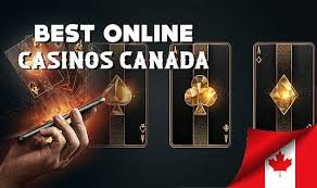 Top Casinos Your Ultimate Guide to the Best Gaming Experience Top Casinos Your Ultimate Guide to the Best Gaming Experience